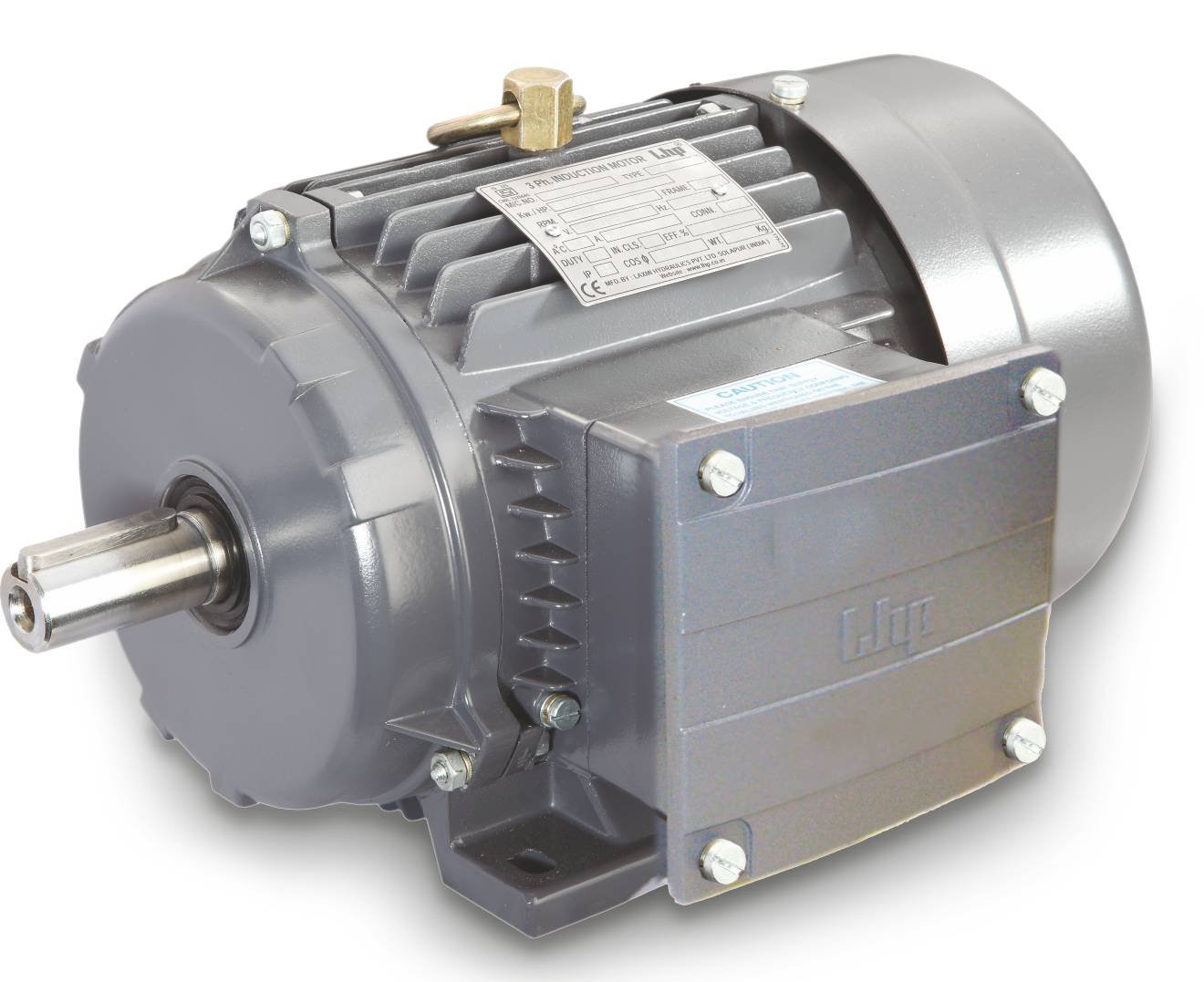 Crane Duty Motor