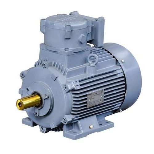 Flame Proof Motor